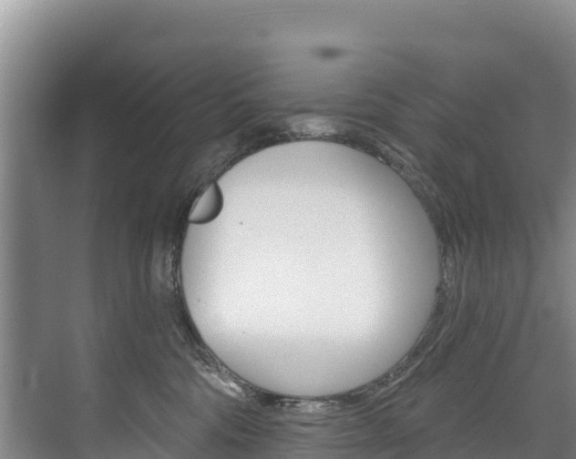 X0000073710330200608031047