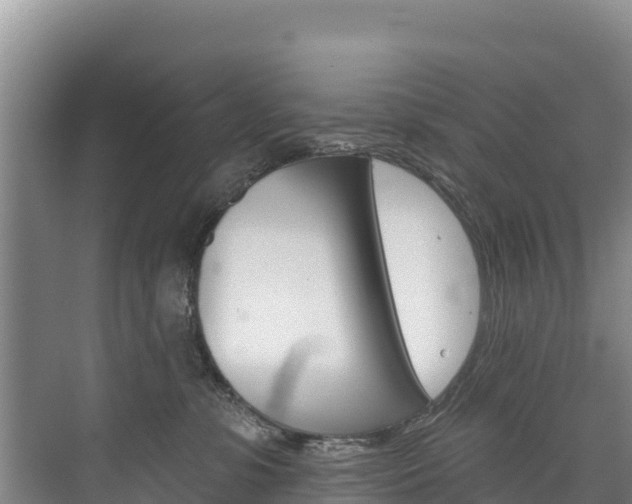 X0000073710331200608031047