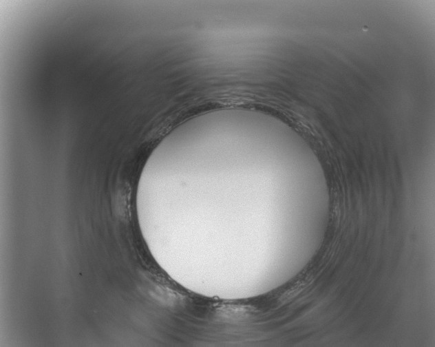 X0000073710332200608031047