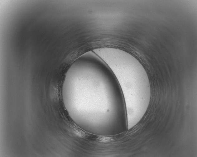 X0000073710333200608031047