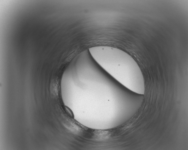 X0000073710334200608031047