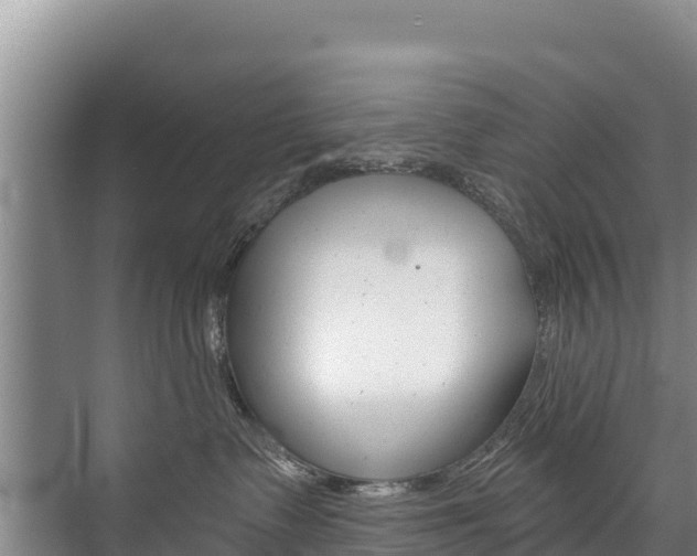 X0000073710335200608031047