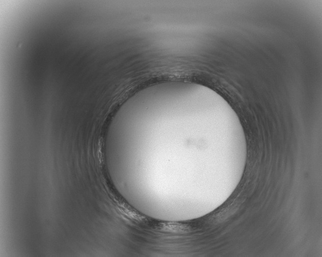 X0000073710336200608031047