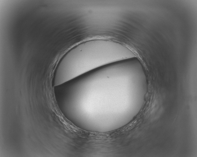 X0000073710337200608031046