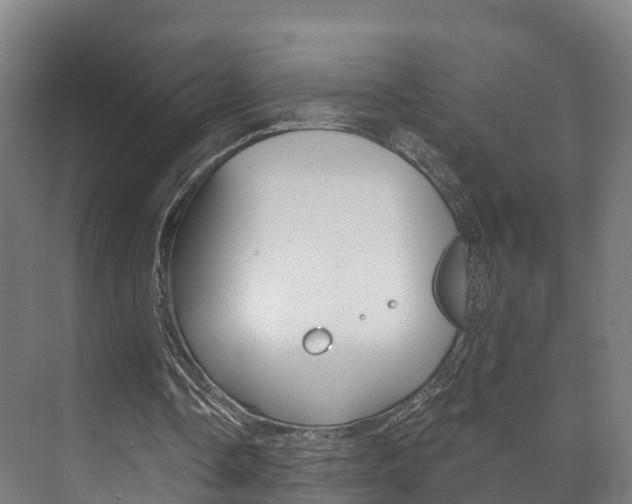 X0000073710338200608031046