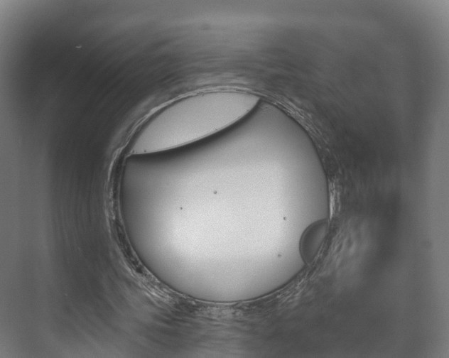 X0000073710339200608031046