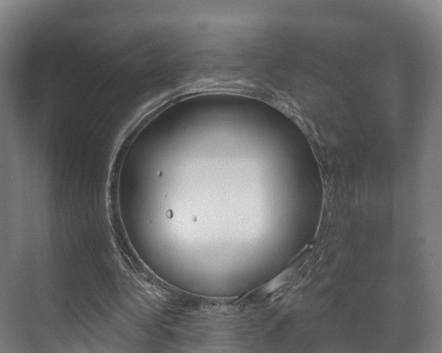 X0000073710340200608031046