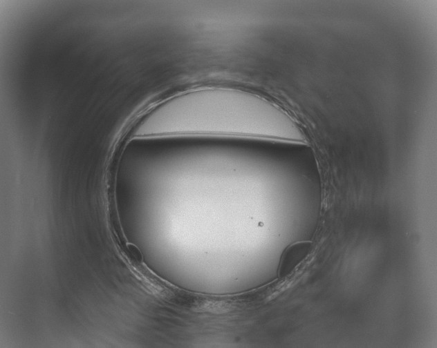 X0000073710341200608031046