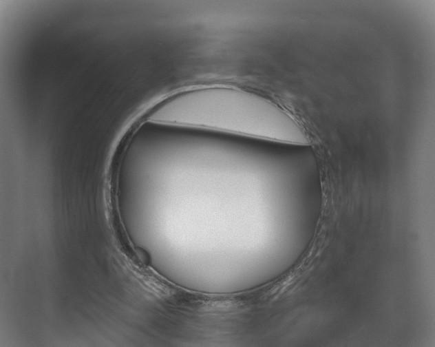 X0000073710342200608031046