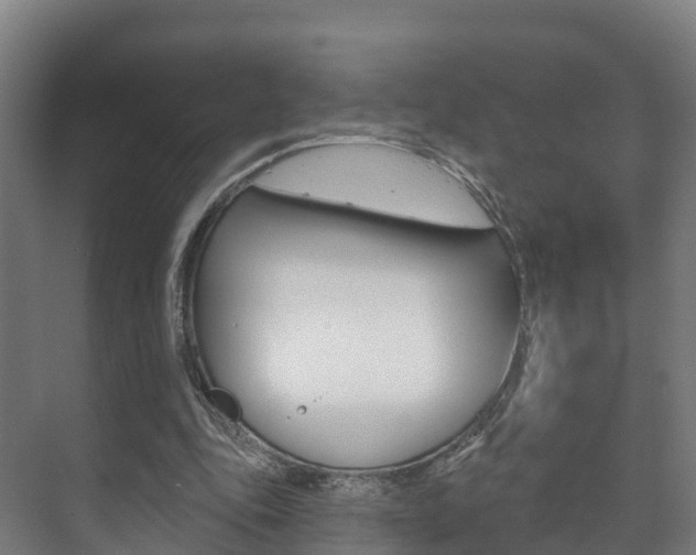 X0000073710343200608031046