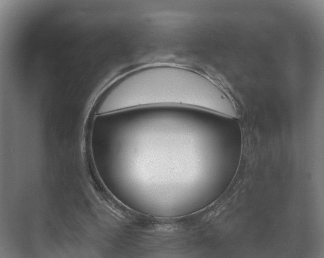 X0000073710344200608031046