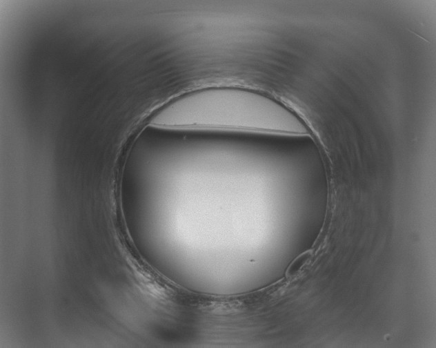 X0000073710345200608031046