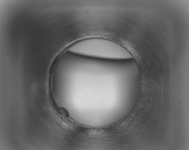 X0000073710346200608031046