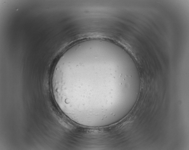 X0000073710347200608031046