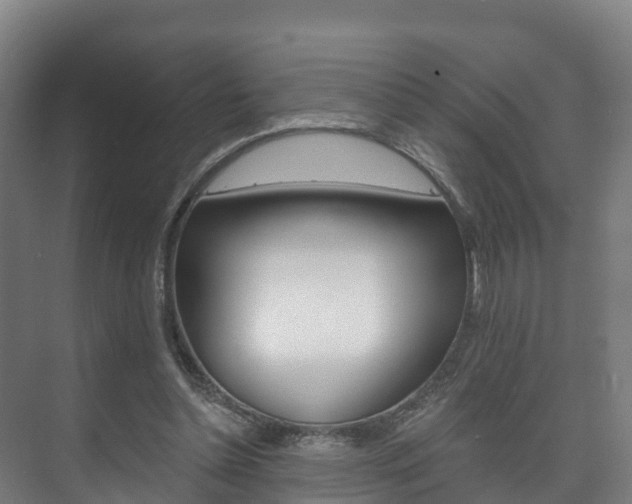 X0000073710348200608031046