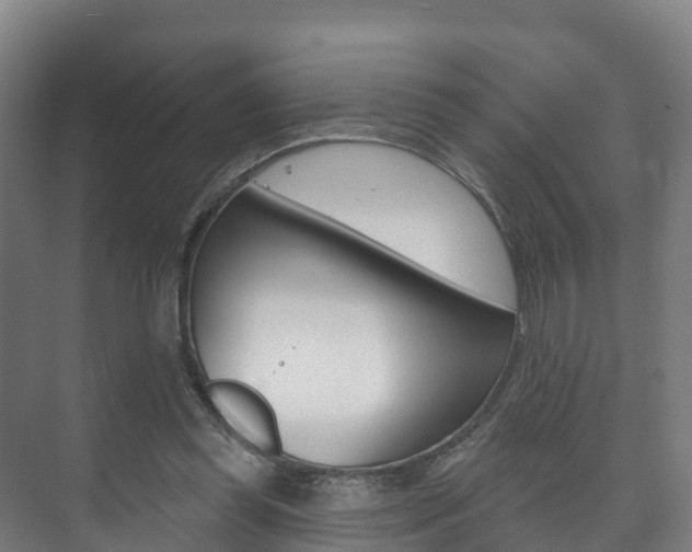 X0000073710349200608031046