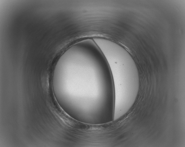 X0000073710350200608031046