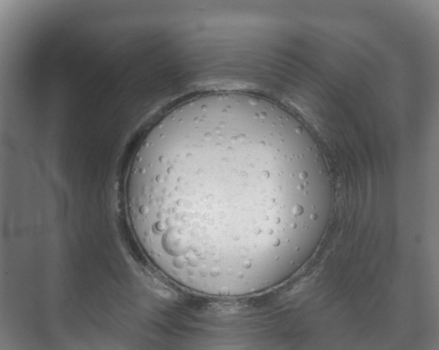 X0000073710351200608031046