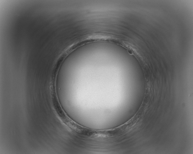 X0000073710352200608031046