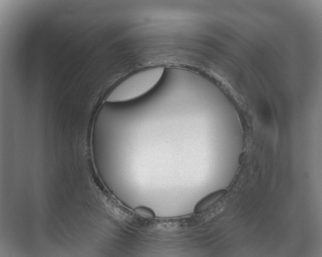 X0000073710353200608031046