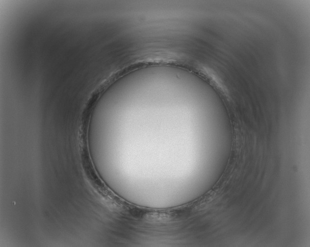 X0000073710354200608031046