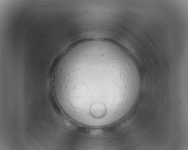 X0000073710355200608031046