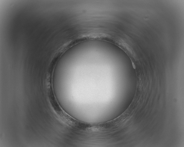 X0000073710356200608031046