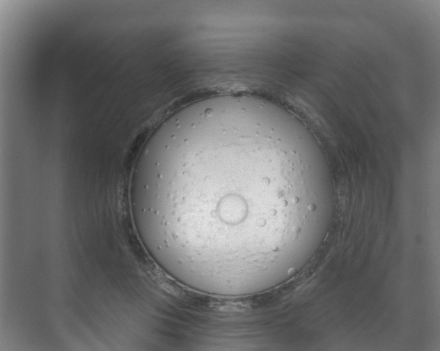 X0000073710359200608031046