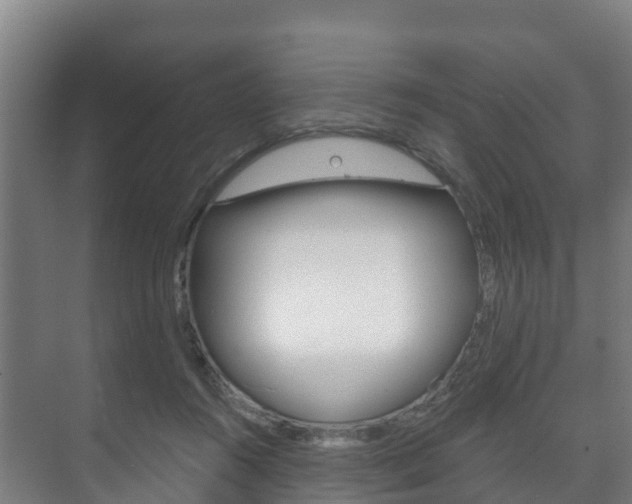 X0000073710360200608031046