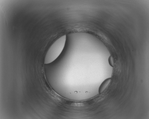 X0000073710361200608031046