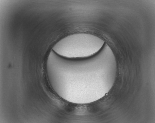 X0000073710362200608031046