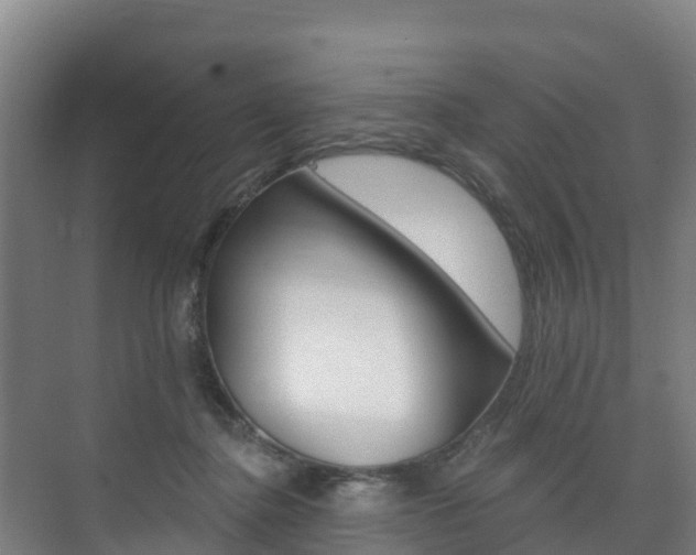 X0000073710364200608031046