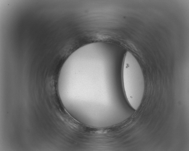 X0000073710366200608031046