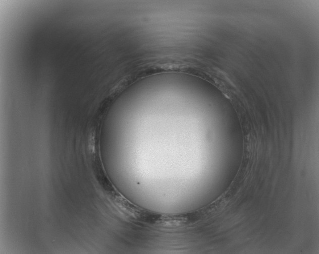 X0000073710368200608031046