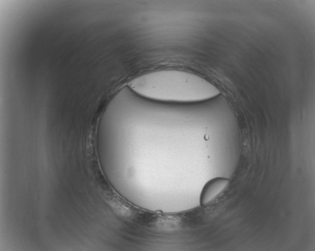 X0000073710369200608031046