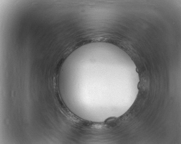 X0000073710375200608031047