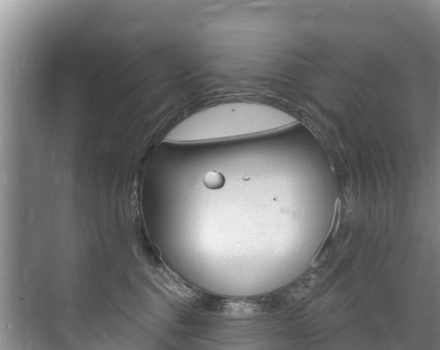 X0000073710376200608031047