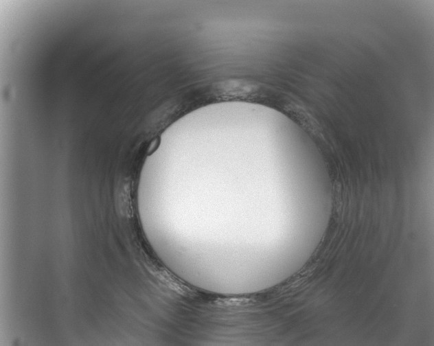 X0000073710378200608031047