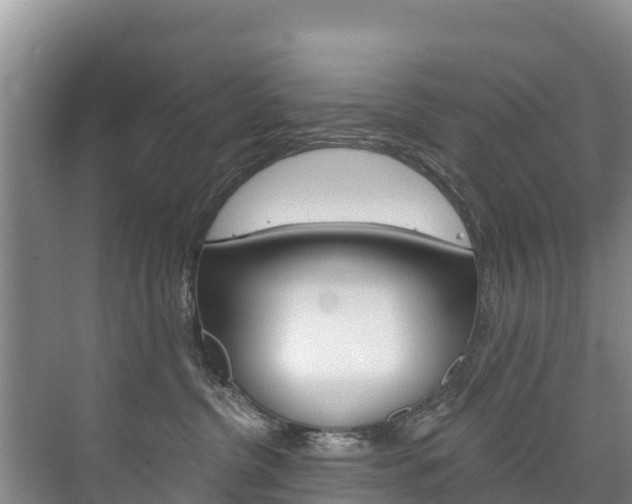 X0000073710380200608031047