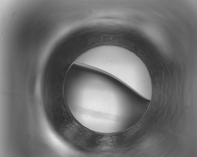 X0000073710383200608031047