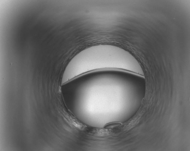 X0000073710384200608031047