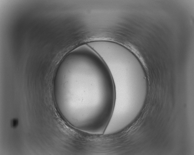 X0000073710385200608031046