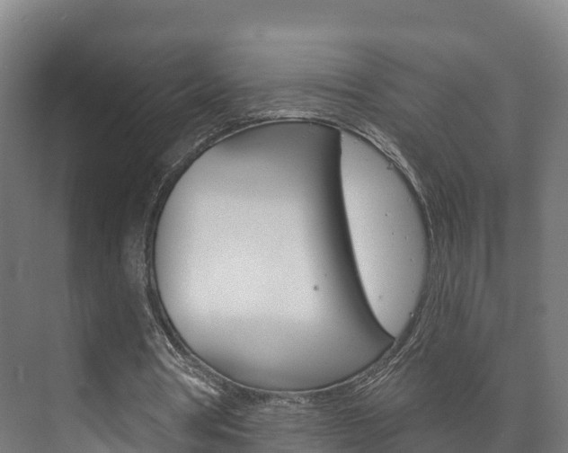 X0000073710386200608031046