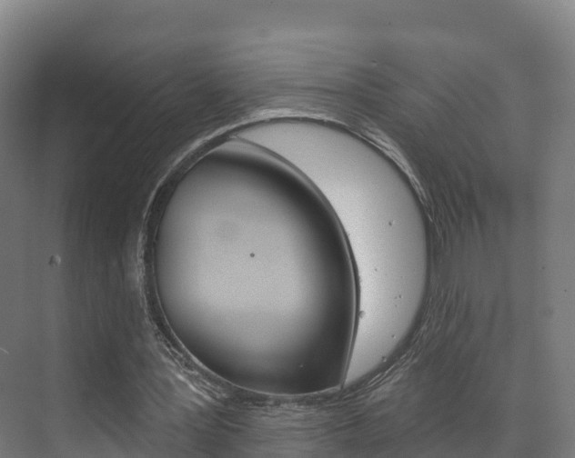 X0000073710387200608031046