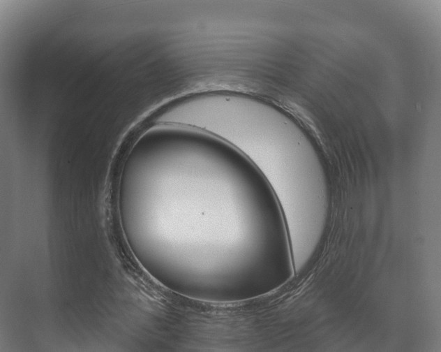 X0000073710388200608031046