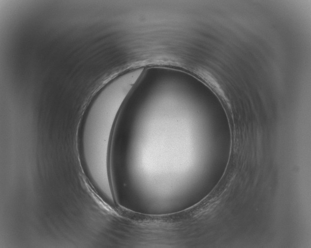 X0000073710389200608031046