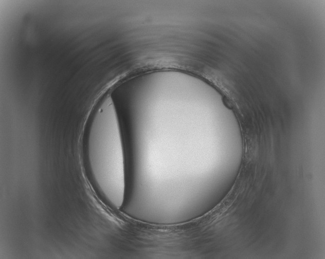 X0000073710390200608031046