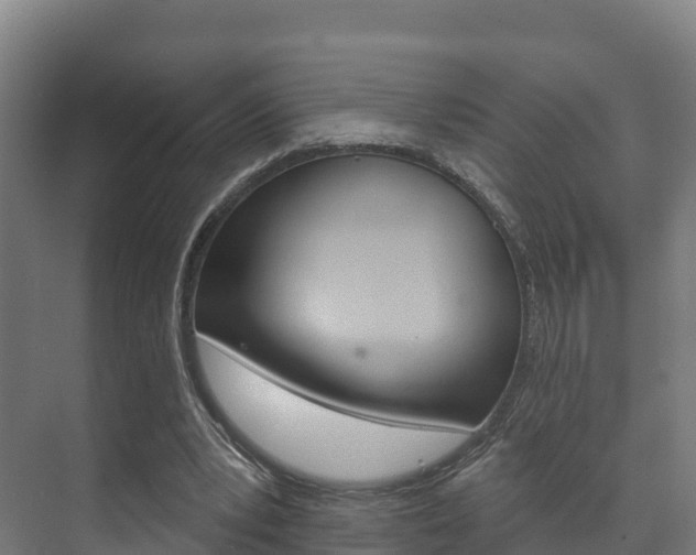 X0000073710391200608031046