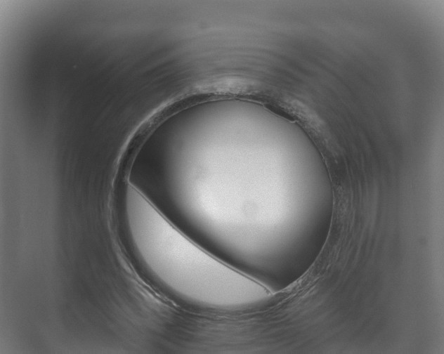 X0000073710392200608031046