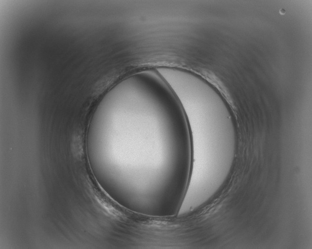 X0000073710393200608031046